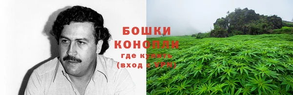 mdpv Каменск-Шахтинский