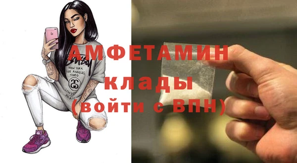 сатива Каменногорск