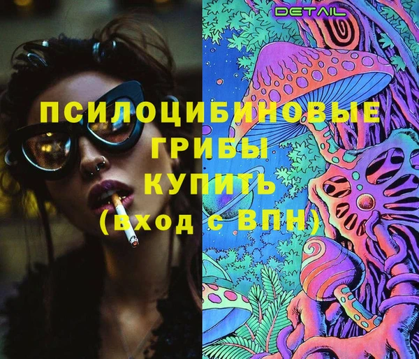 бошки Инсар