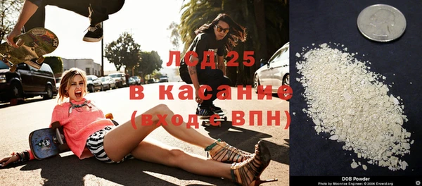 сатива Каменногорск