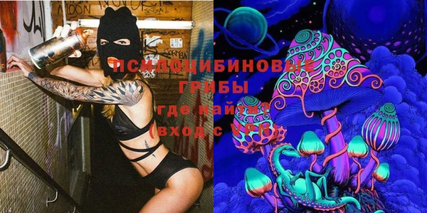 сатива Каменногорск
